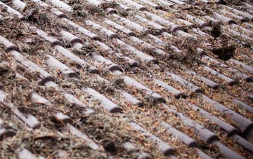 Thurgoland roof cleaning companies